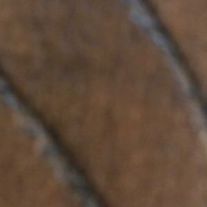 Meet your Posher, Leonel